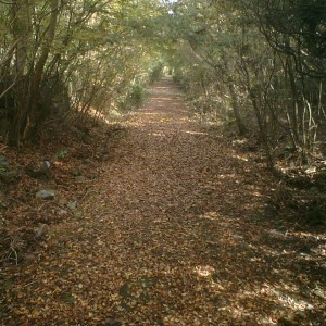 朝熊山ケーブルカー跡